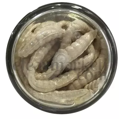 Berkley PowerBait Power Honey Worm Garlic White 706886 - 2